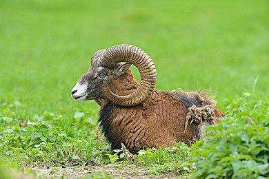 第三人称动作射击游戏《炼狱颂歌》现已推出试玩Demo