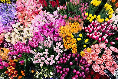 《生化危机2、3、7、8》Switch云版本发售日确定 10月底陆续上线