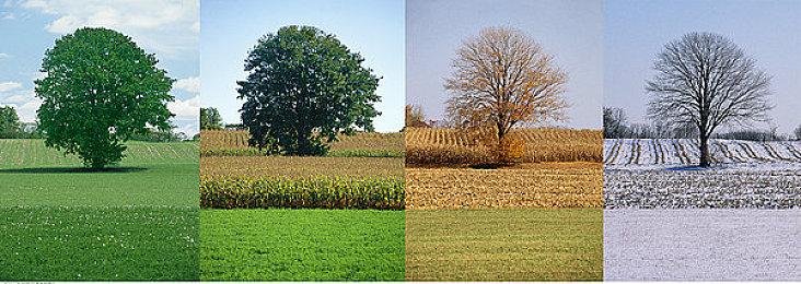 坤哥爆料：《失落之魂》实体版至少将在欧洲地区推出